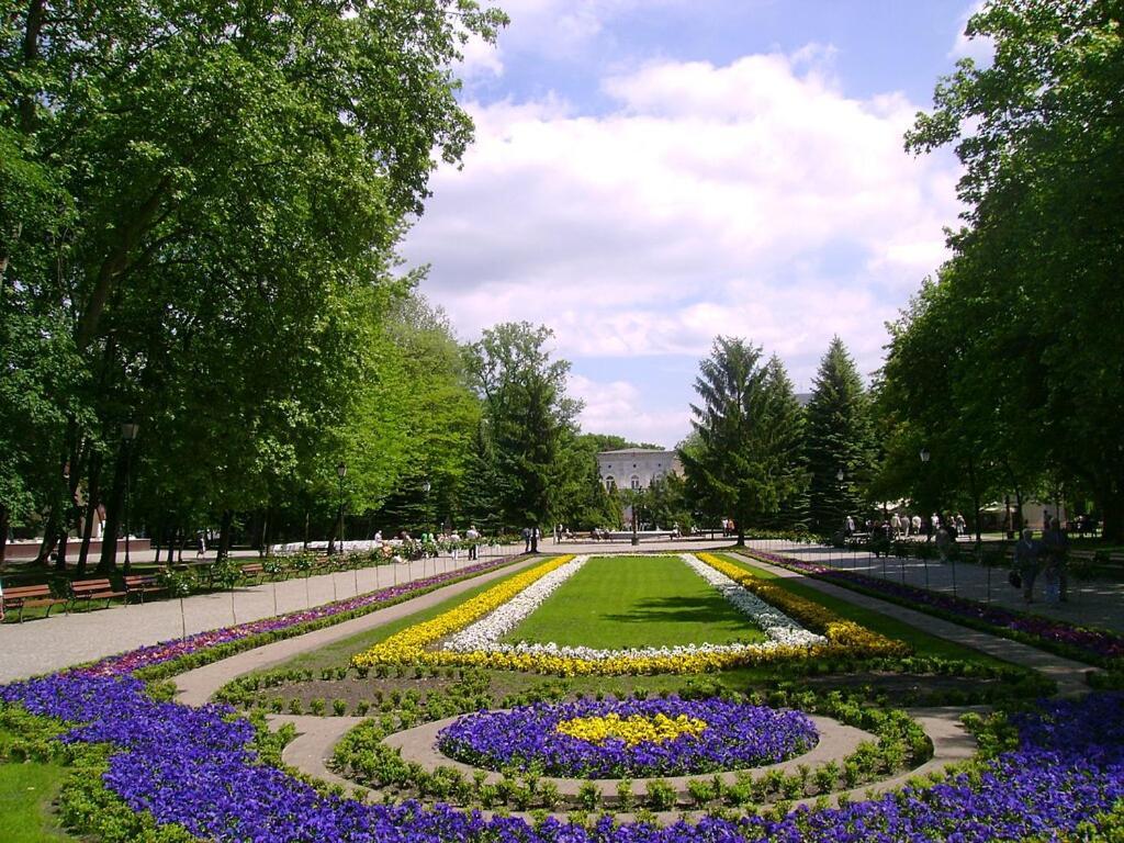 Rezydencja Pod Teznia & Spa Inowroclaw Ngoại thất bức ảnh