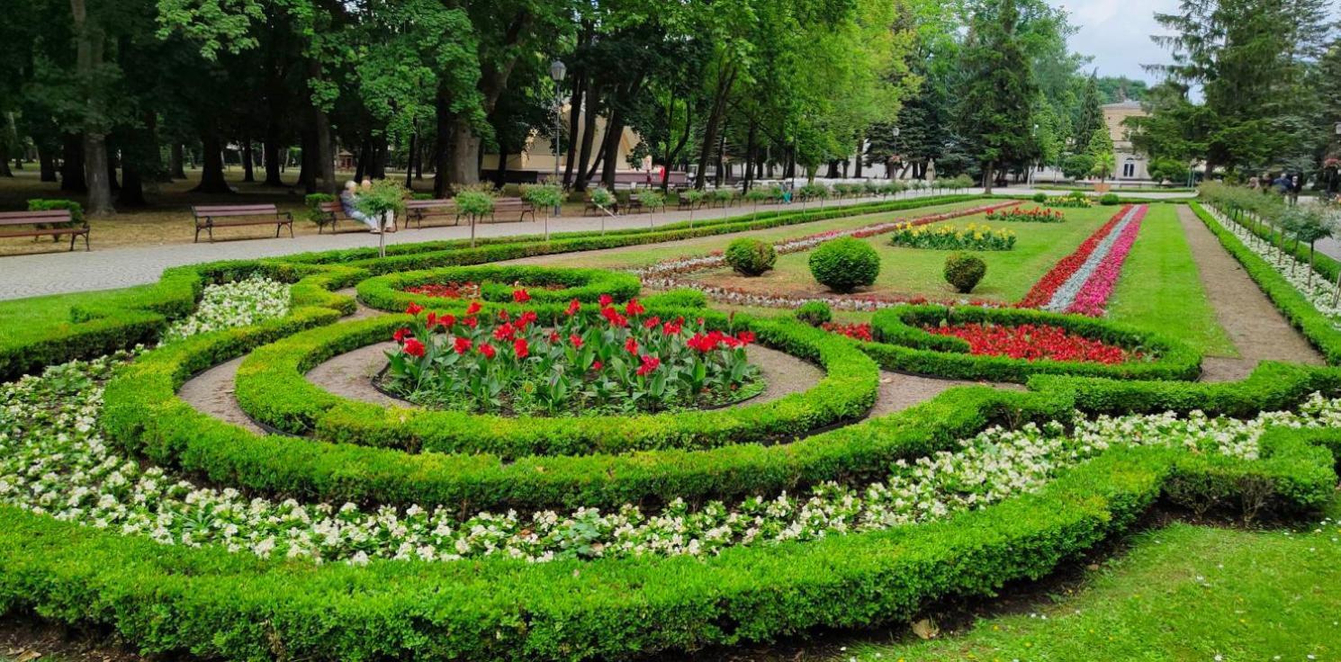 Rezydencja Pod Teznia & Spa Inowroclaw Ngoại thất bức ảnh